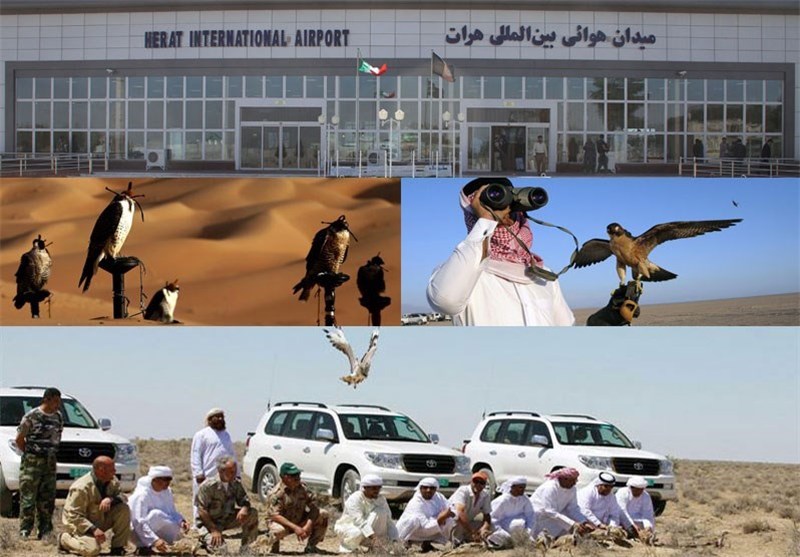 باز شدن دوباره پای شیوخ قطری برای شکار پرندگان نایاب به غرب کشور - خبرگزاری افغان ایرکا