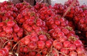 وزارت تجارت از انتقال میوه های تازه به هند، کشورهای خلیج و آسیای میانه خبر میدهد - خبرگزاری افغان ایرکا