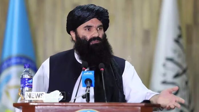 واکنش طالبان به تهدیدات ترامپ: ما در برابر امپراطوران دنیا سر خم نکرده ایم واکنش طالبان به تهدیدات ترامپ: ما در برابر امپراطوران دنیا سر خم نکرده ایم