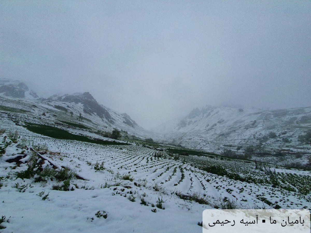 بارش برف نابه هنگام در بامیان در آستانه فصل تابستان! - تصویر سوم خبر