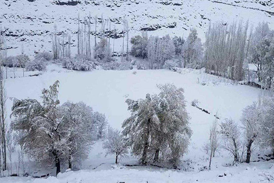 بارش برف برخی از مناطق ولایت غزنی را سفیدپوش کرد - خبرگزاری افغان ایرکا