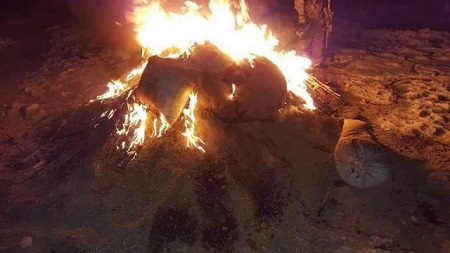 بیش از هشت تن چرس در پکتیا به آتش کشیده شد - خبرگزاری افغان ایرکا