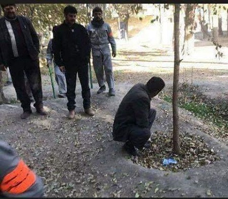 رفع حاجت بلای جان شد - خبرگزاری افغان ایرکا