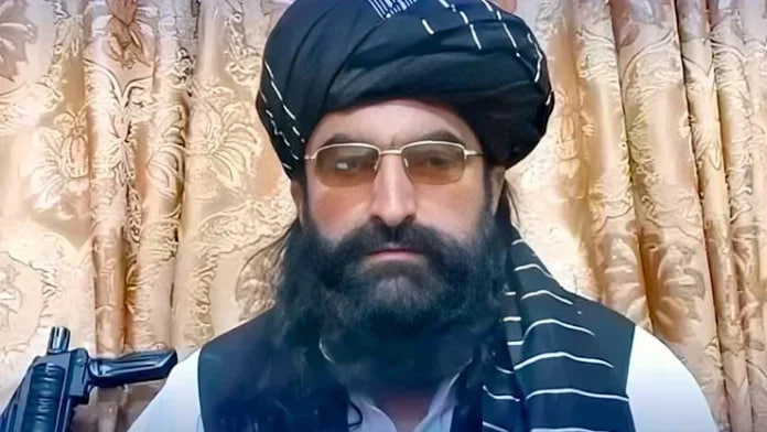 رسانه پاکستانی: طالبان افغانستان ماهانه 43 هزار دالر به خانواده رهبر تی تی پی می دهند - خبرگزاری افغان ایرکا