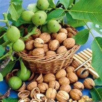 آقایان این 8 ماده غذایی را حتماً میل کنید