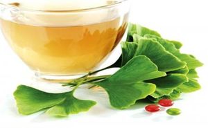 پادشاه گیاهان دارویی را بشناسید - خبرگزاری افغان ایرکا