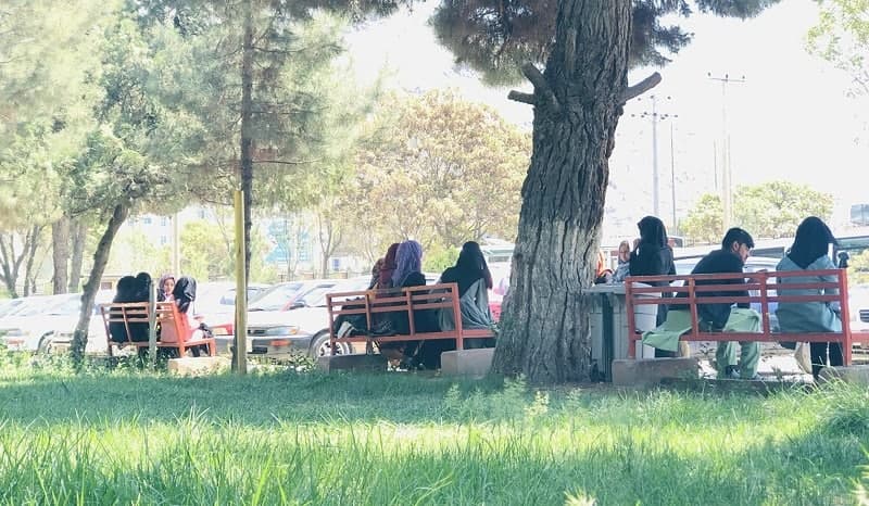 خالد حنفی: دختران با رعایت حجاب می توانند تا مقطع دکترا تحصیل کنند - خبرگزاری افغان ایرکا