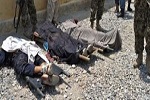 کشته و زخمی شدن بیش از 20 طالب مسلح در هرات - خبرگزاری افغان ایرکا