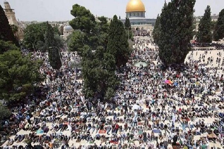 پیام نجف به واتیکان درباره حق سلب شده فلسطین  - خبرگزاری افغان ایرکا