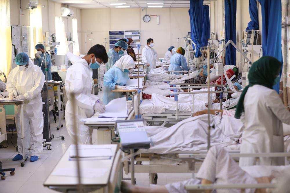 در شبانه روز گذشته 84 بیمار کرونایی فوت کرده اند - خبرگزاری افغان ایرکا