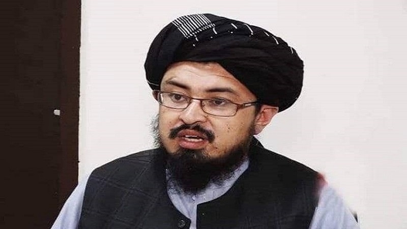 طالبان: سازمان های حقوق بشر باید از جنایت های 20 ساله ی که پرده  انداخته اند، گزارش دهند