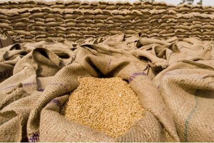  تمایل قزاقستان برای سرمایه گذاری در بخش ایجاد انبارهای غله  - خبرگزاری افغان ایرکا