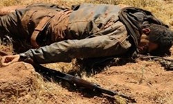 «بازوی راست» ابوبکر البغدادی کشته شد - خبرگزاری افغان ایرکا