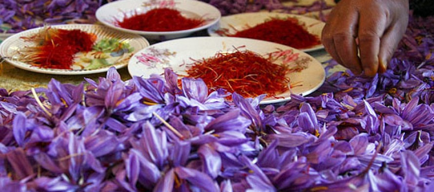 آغاز به کار بزرگترین مرکز بسته بندی زعفران کشور در هرات - خبرگزاری افغان ایرکا