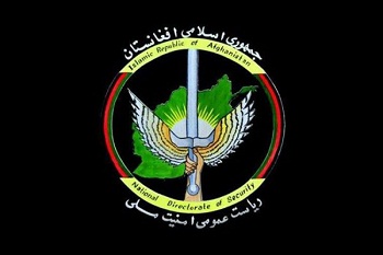 مسؤل جلب و جذب گروه داعش در شهر کابل بازداشت شد - خبرگزاری افغان ایرکا