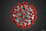 شرط اصلی قرنطین داشتن حداقل یک لقمه نان است! - خبرگزاری افغان ایرکا
