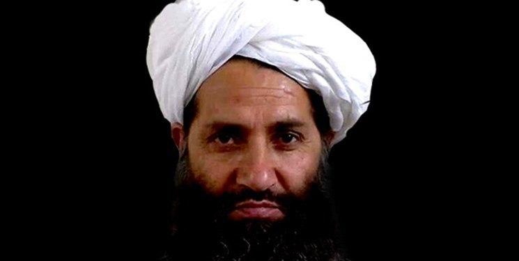نشریه آمریکایی از مرگ رهبر طالبان بر اثر ابتلا به کرونا خبر داد - خبرگزاری افغان ایرکا