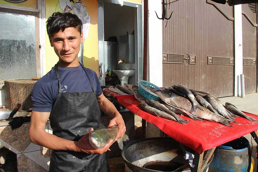 افزایش فروش ماهی و جلبی با رسیدن نوروز در افغانستان - تصویر دوم خبر