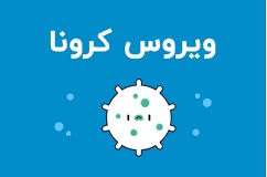 سازمان بهداشت جهانی: به اکتشافات مهمی درباره منشا ویروس کرونا دست یافته ایم - خبرگزاری افغان ایرکا