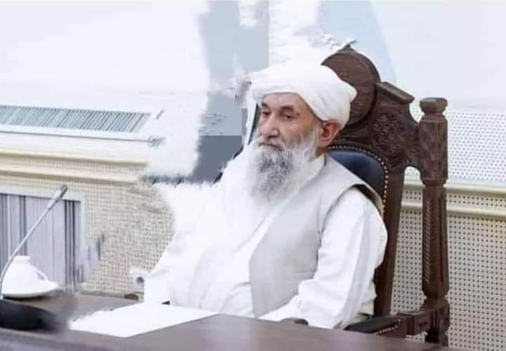  اوزبیکستان و پاکستان از رئیس الوزرای طالبان برای دیدار رسمی از این کشورها دعوت کردند