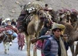 حکومت با سوء استفاده از نام کوچی در پی جابه جایی افراد در ولایت های افغانستان است! - خبرگزاری افغان ایرکا