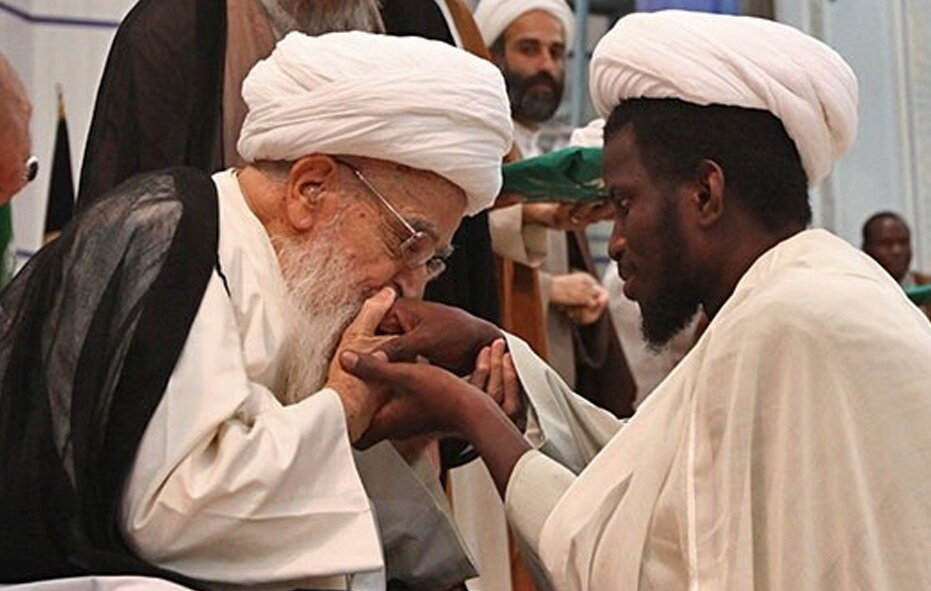  عکس ماندگار از آیت الله صافی گلپایگانی - تصویر دوم خبر