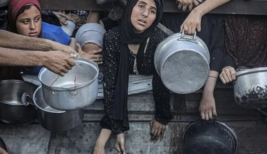  25 کشور جهان خواستار توقف فوری نسل کشی در غزه شدند  - خبرگزاری افغان ایرکا