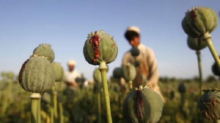  استقبال ایران از ممنوعیت تولید مواد مخدر در افغانستان - خبرگزاری افغان ایرکا