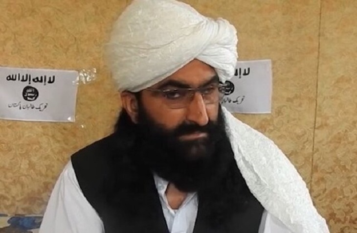 رهبر طالبان پاکستان: ما همچنان در کنار طالبان افغانستان می جنگیم