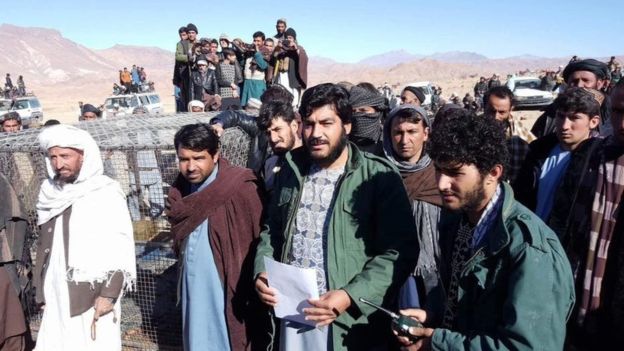 پلنگی که در فراه آزاد شد، یک نفر را زخمی کرد - تصویر سوم خبر
