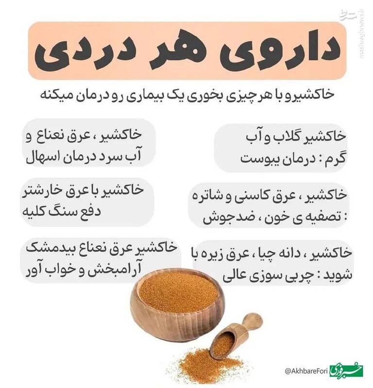 اینفوگرافیک/ خاکشیر؛ دوای هر درد - تصویر دوم خبر