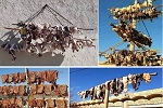 آیا گوشت لاندی خورده اید؟ - خبرگزاری افغان ایرکا