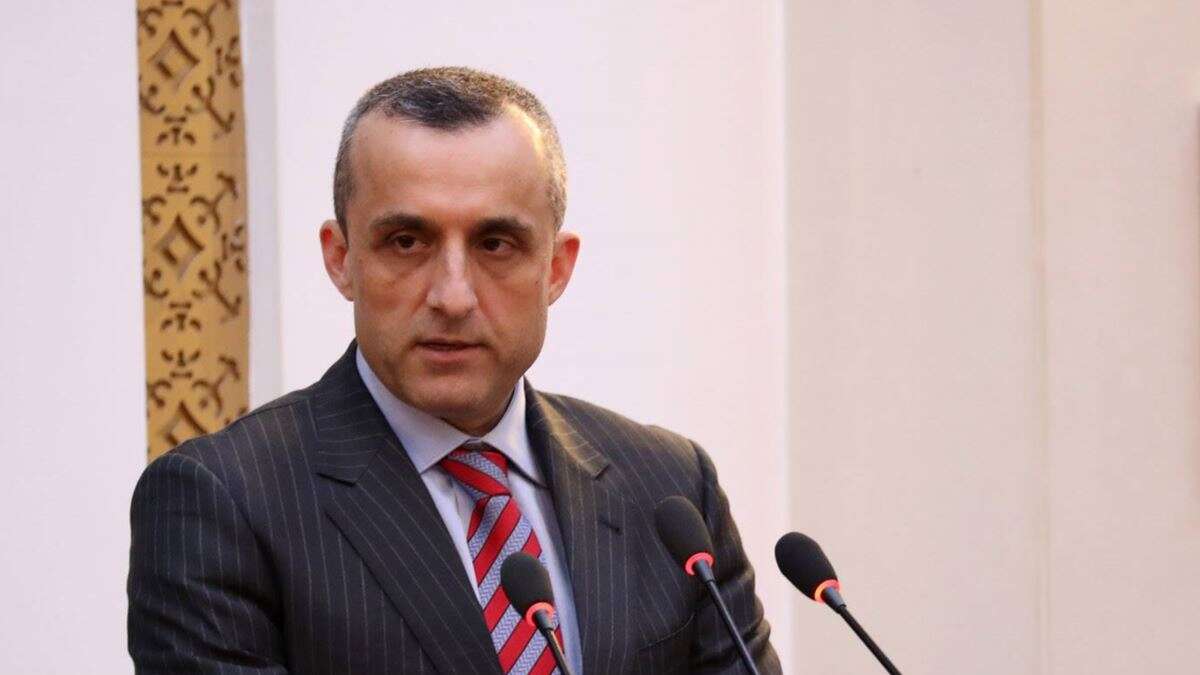 طالبان آتش بس را مرگ سیاسی خود می دانند و مانند ملخ حمله می کنند و مانند ملخ می میرند  - خبرگزاری افغان ایرکا