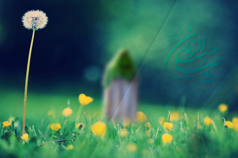 سرمشق و الگوی امام زمان (عج)  - خبرگزاری افغان ایرکا