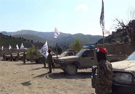 گیلانی: طالبان 14 نظامی اسیر را آزاد کردند - خبرگزاری افغان ایرکا