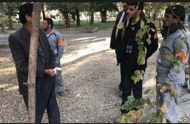 رفع حاجت بلای جان شد - تصویر دوم خبر