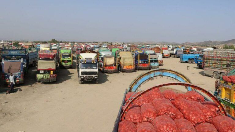 پاکستان مسیر ترانزیتی میوه افغانستان از طریق ایران را مسدود کرد