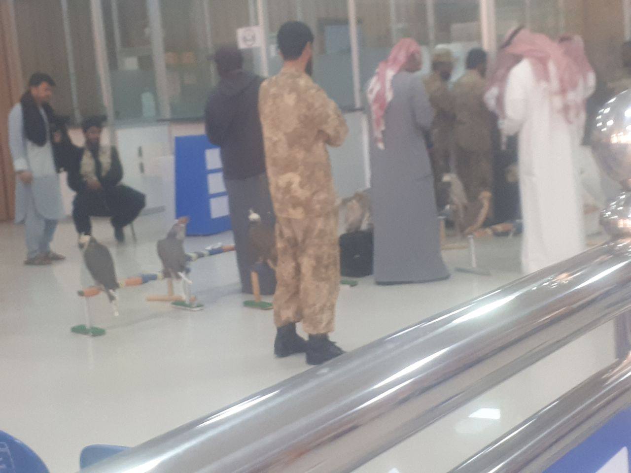 عرب ها 60 پرنده کمیاب را با خود بردند!