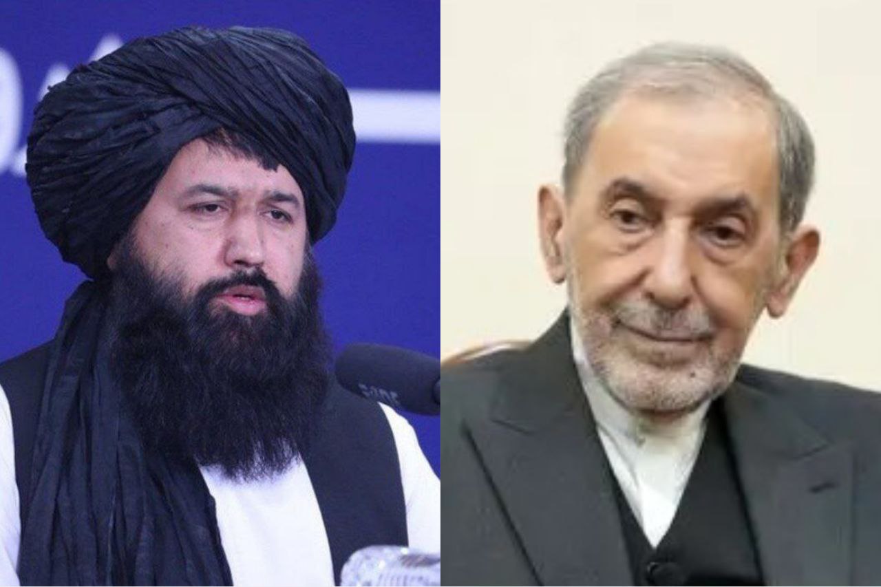 تأکید ندیم بر توسعه همکاری های علمی و دانشگاهی میان افغانستان و ایران تأکید ندیم بر توسعه همکاری های علمی و دانشگاهی میان افغانستان و ایران