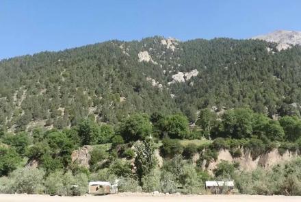  Community Councils Established to Protect Forests in Nuristan 