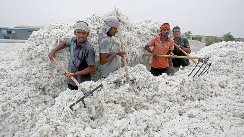  افغانستان رسماً مقصد صادرات پنبه قندهار را از پاکستان به ایران تغییر داد