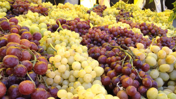 طالبان تعرفه واردات سه میوه را 80 درصد افزایش داد - خبرگزاری افغان ایرکا