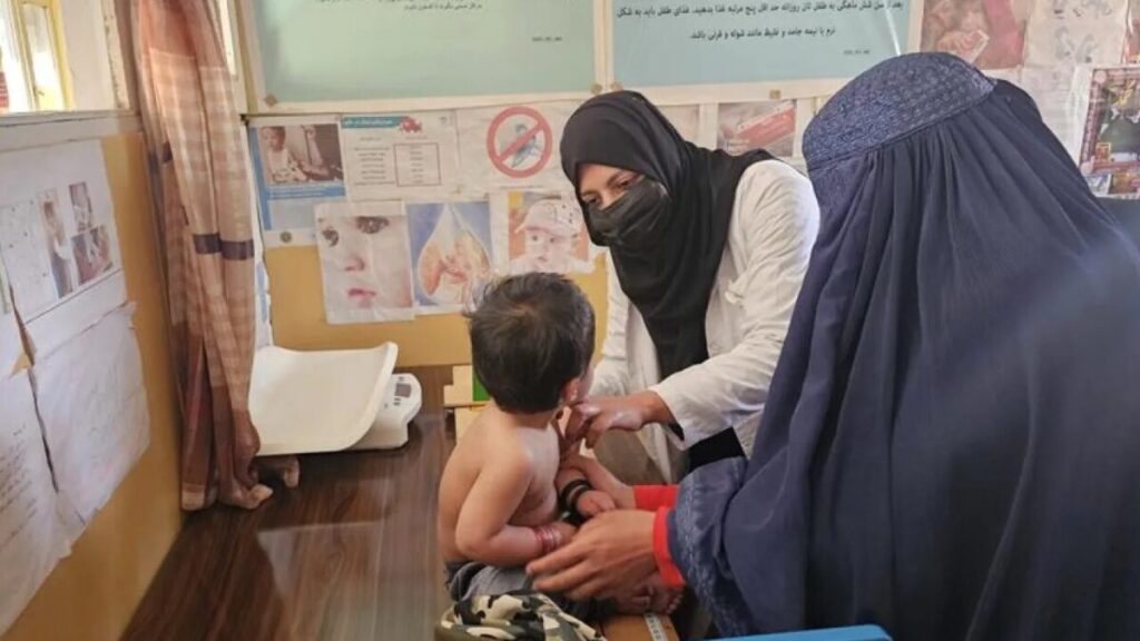 ملل متحد: سوءتغذیه زندگی میلیون ها تن را در افغانستان تهدید می کند - خبرگزاری افغان ایرکا
