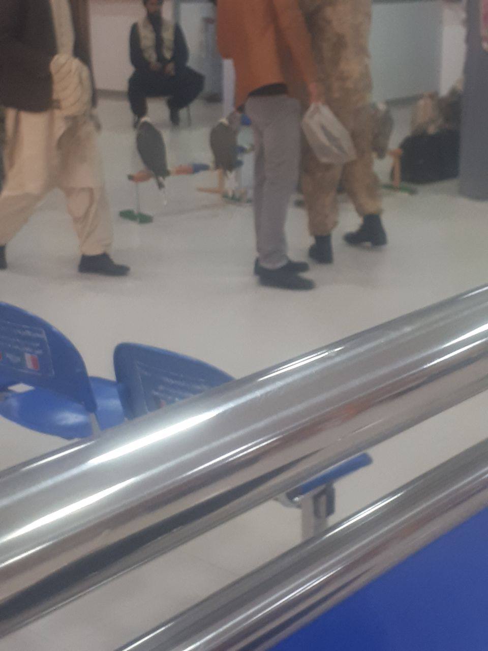 عرب ها 60 پرنده کمیاب را با خود بردند!