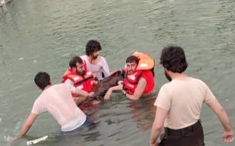 در سال جاری 75 تن در کشور در اثر غرق شدن در آب جان باخته اند