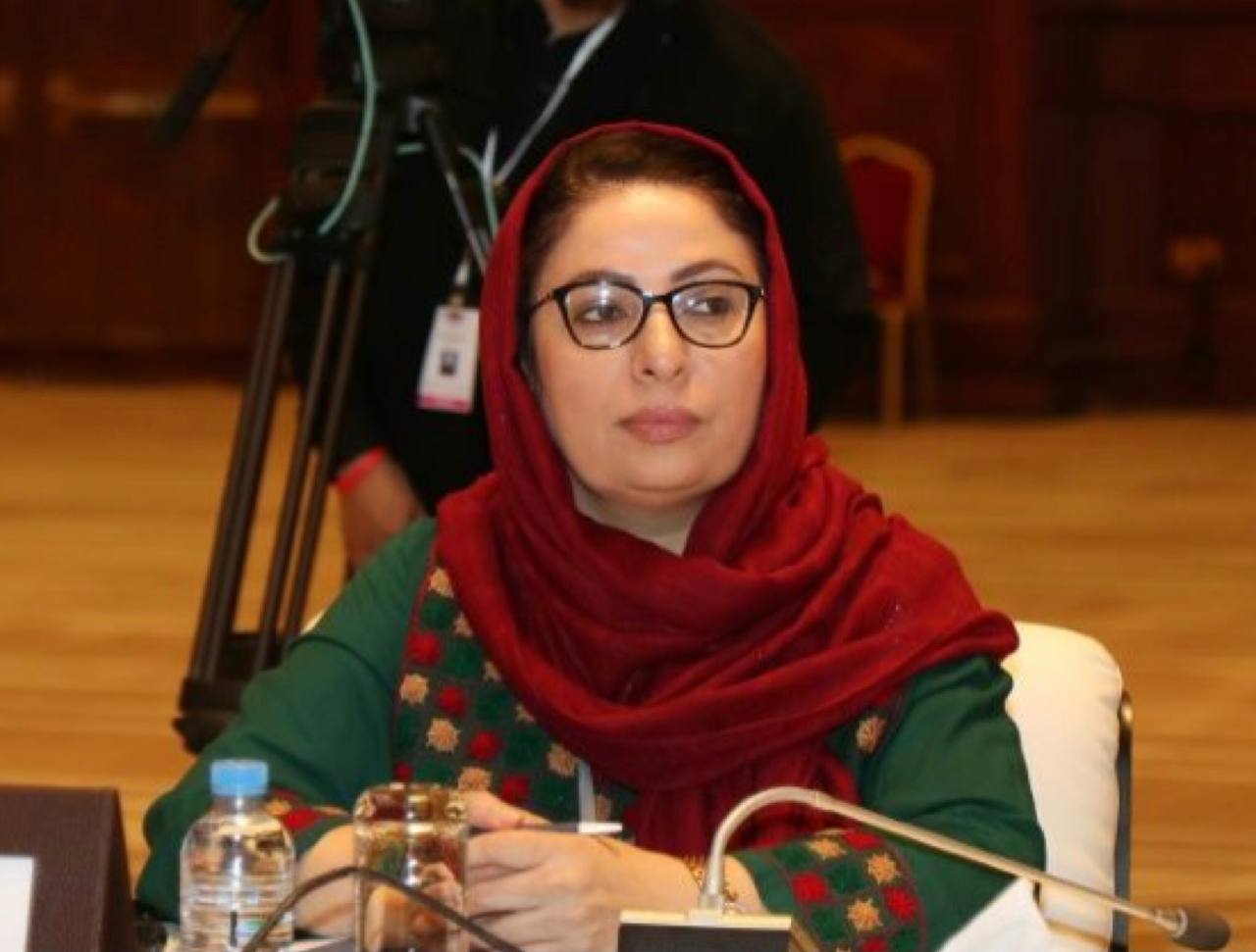 ‏اصیلا وردک: تعدادی از وزیران سابق معارف بخاطر پروژه های شخصی شان طرفدار مدرسه طالبان شده اند - خبرگزاری افغان ایرکا