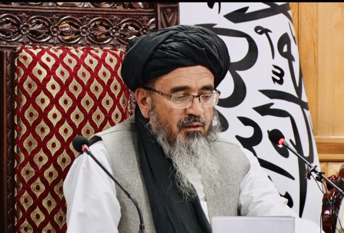 طالبان خواستار اقدام فوری محکمه بین المللی در مورد جنایات اسرائیل در غزه شد - خبرگزاری افغان ایرکا