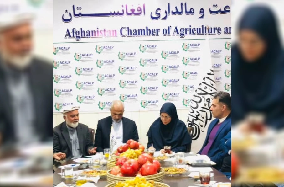  ایران: همکاری ما با افغانستان «بلندمدت و پایدار» خواهد بود