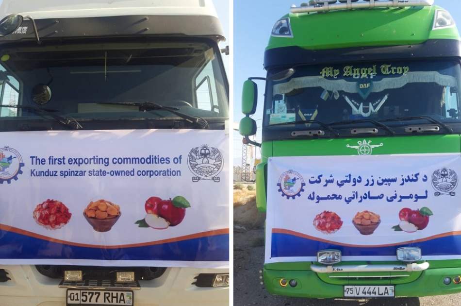  شرکت دولتی سپین زر 150 تُن بادنجان رومی خشک به اروپا صادر کرد  - خبرگزاری افغان ایرکا