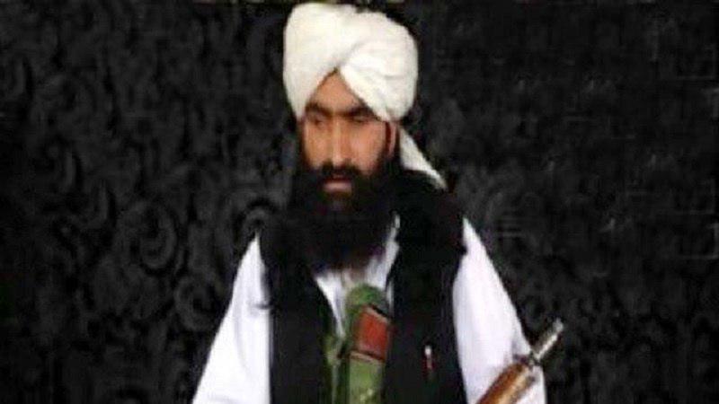رهبر جدید تحریک طالبان پاکستان انتخاب شد 